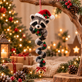 Raccoon