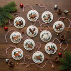 Set of 12 U.S. National Park Christmas Ornament Embroidery Kits