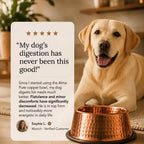 99.9% Pure Copper Bowl for Dogs & Cats image 3