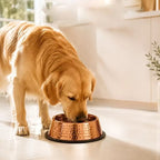99.9% Pure Copper Bowl for Dogs & Cats image 5