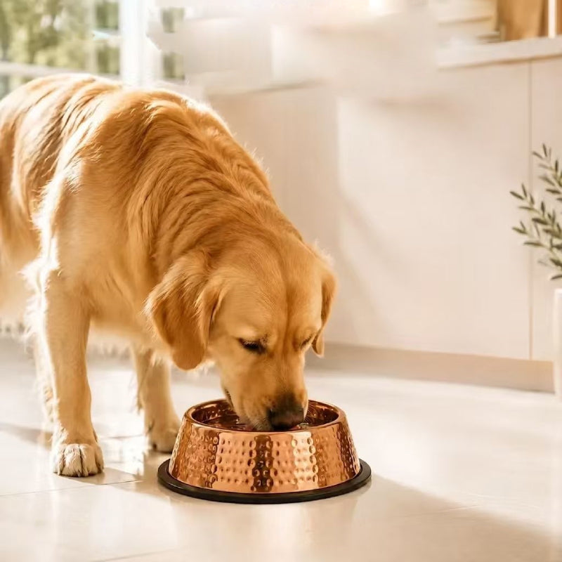 99.9% Pure Copper Bowl for Dogs & Cats image 5